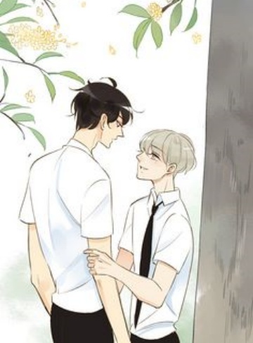 校草同桌不好惹（胖呼呼小仙女）原创小说完整版阅读_校园青春成长与不甘的坚韧相遇
