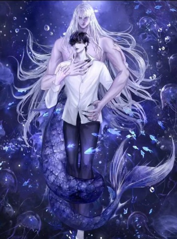 陨梦（遗梦）（我叫阿妍）‌热门IP改编小说抢先看‌_梦想的归宿与勇敢追求的心灵碰撞