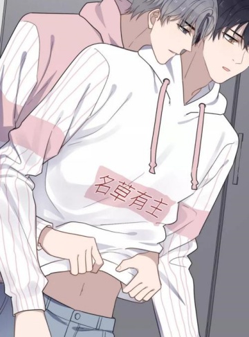 小楼向日葵（周也妙子）原创小说完整版阅读_在迷茫中勇敢追寻梦想的温暖历程